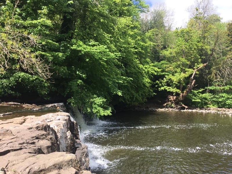 Situated right on the edge of Glasgow - to the south bordering East Renfrewshire - at 200 acres Linn Park is the city's third largest park. The White Cart Water flows through the park, meaning you can have a picnic next to a waterfall. There are many woodland and riverside paths, alongside an equestrian centre, an orienteering course, an 18-hole public golf course and playparks. The park is also home to the large mansion of Linn House, which was converted into homes in 2007.
