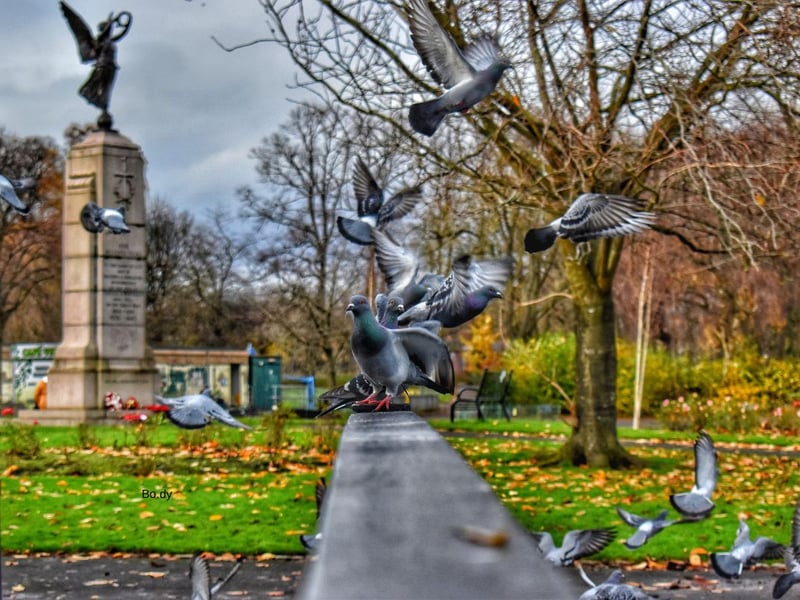 Colourful flower beds, a pond with islands, plenty of benches, and lots of grassy space - Victoria Park is frequently cited as Glasgow's prettiest park. Uniquely, it also contains Fossil Grove - a group of fossilised trees found there when roadworks were taking place. They've been preserved and are open every month or two for visitors to see. If that's not enough, there's also a playpark, a model yachting course, bowling greens, tennis courts, basketball courts and a putting green.