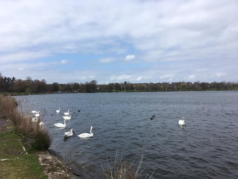 The big draw for people to visit Hogganfield Park, to the north east of the city centre, is Hogganfield Loch. A path takes you all the way around the loch, with plenty of places to stop for a rest and to admire the plentiful bird life that calls the area home.