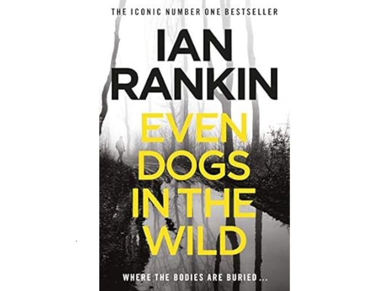 Second place goes to the 20th book in the Rebus saga - Even Dogs In The Wild - with an average rating of 4.20 from 13,869 reviews. "Retirement doesn't suit John Rebus. He wasn't made for hobbies, holidays or home improvements. Being a cop is in his blood. So when DI Siobhan Clarke asks for his help on a case, Rebus doesn't need long to consider his options. Clarke's been investigating the death of a senior lawyer whose body was found along with a threatening note. On the other side of Edinburgh, Big Ger Cafferty - Rebus's long-time nemesis - has received an identical note and a bullet through his window. Now it's up to Clarke and Rebus to connect the dots and stop a killer."
