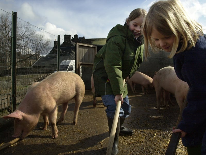 The urban farm was shut to the public in February 2023. The farm officially opened in 1982 as a working farm, selling lambs, pigs and was home of other animals, including cows, sheep and goats. The farm also has a small play park encouraging imagination-led play. There is currently a community-led campaign to re-open this once hidden gem in Gorgie.