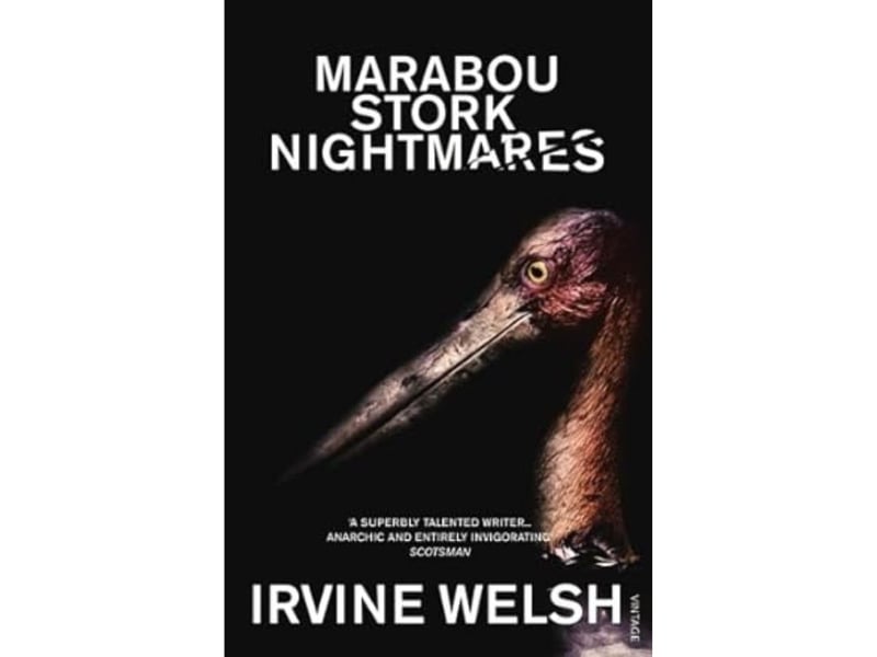 Welsh's experimental 1995 book Marabou Stork Nightmares has an average rating of 3.91 from 12,234 reviews. "Roy Strang is engaged in a strange quest in a surrealist South Africa. His mission is to eradicate an evil predator-scavenger bird, the marabou stork, before it drives away the peace-loving flamingo from the picturesque Lake Torto. But behind this world lies another: the world of Roy's bizarre family, the Scottish housing scheme in which he grew up, his mundane job, a disastrous emigration to Africa, and his youthful life of brutality with a gang of soccer casuals. As one world crashes into the other, this potentially charming story of ornithological goodwill mutates into a filthy tale of violence, abuse and redemption."