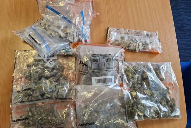 XL Bully and £2,000 worth of cannabis seized as 13 people are arrested