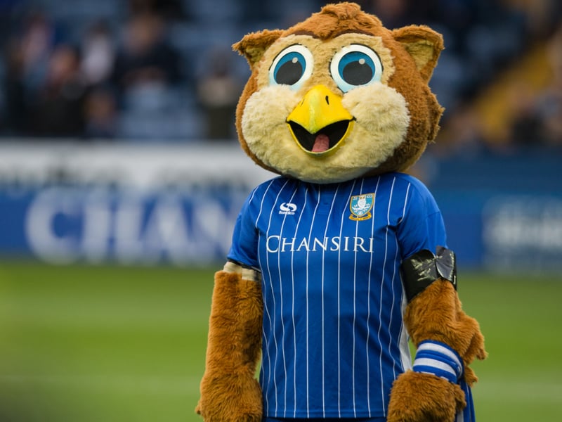 Barney the Owl