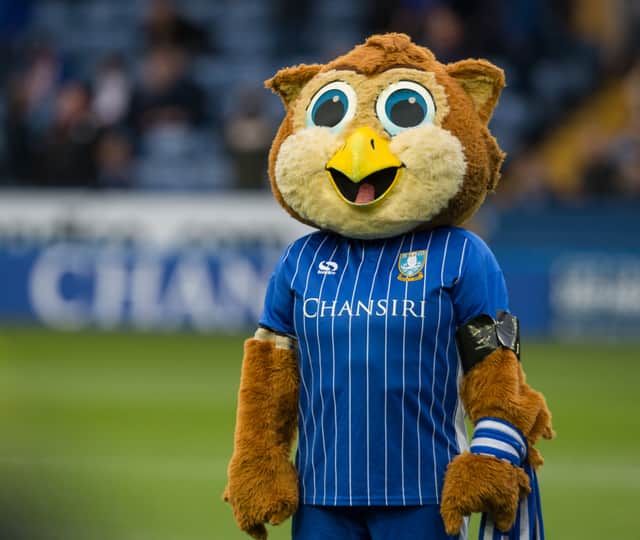 Barney the Owl
