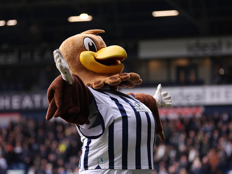 Baggie Bird