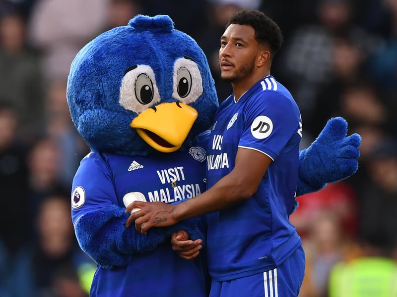 Bartley the Bluebird