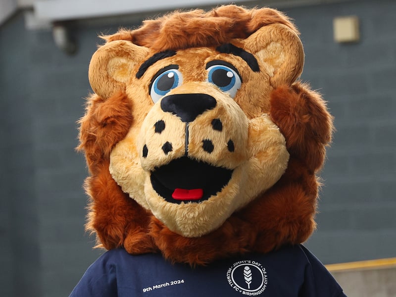 Zampa the Lion