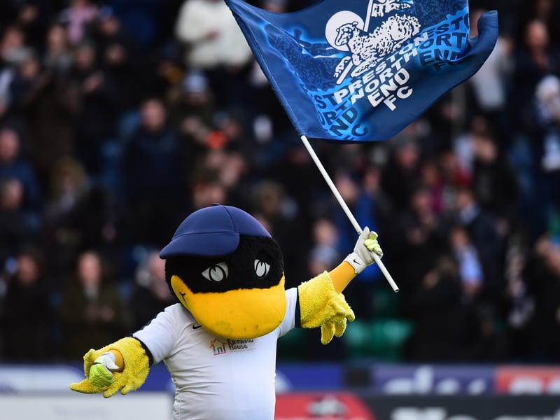 Deepdale Duck