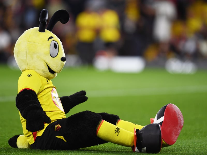 Harry the Hornet