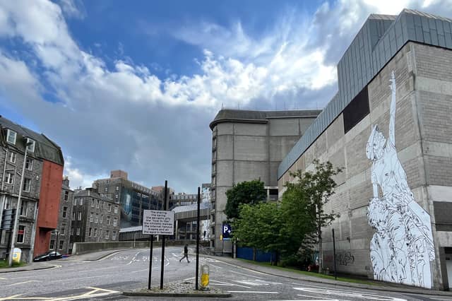 The 2024 edition of Nuart Aberdeen has seen several new additions to the city's walls - and streets.