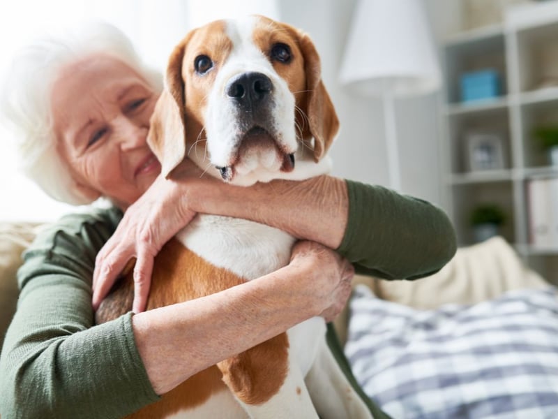 There's no question who dogs' favourite family member is - they love their granny. Nothing to do with all the extra treats of course...