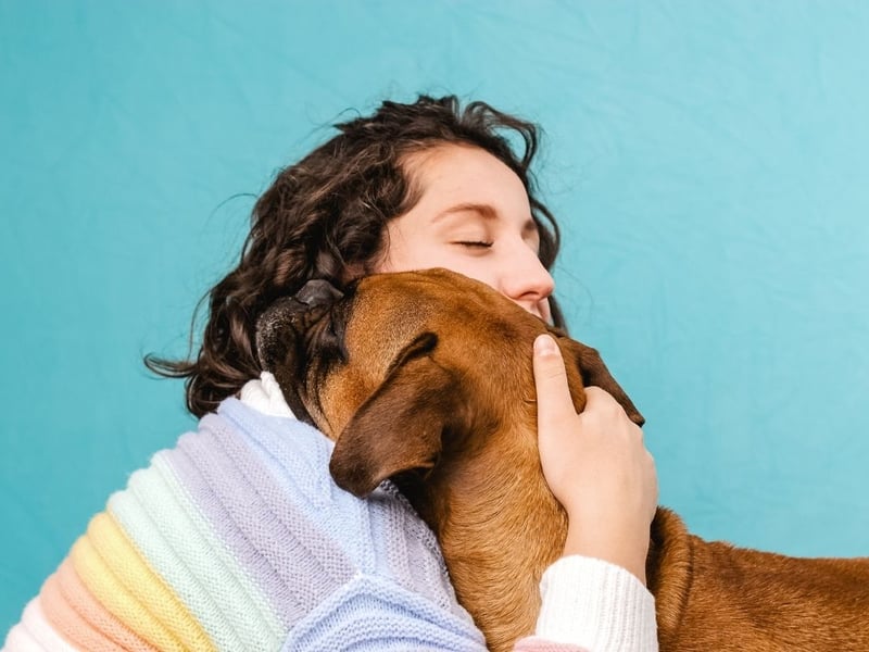 They may occasionally look a little grumpy, but Boxers are known for making unusually deep and strong bonds with their family. It means that they demand more attention and affection than other dogs, but mirror it back tenfold.