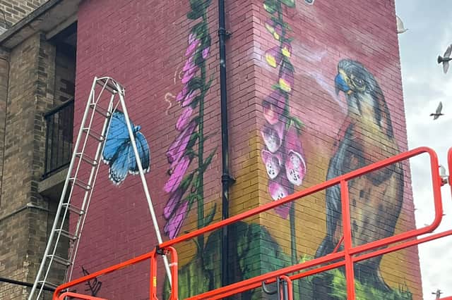 Faunagraphic's mural has been commissioned by Sheffield City Council to regenerate the area.