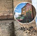 Before and during Faunagraphic's new mural in Gleadless Valley, Sheffield.