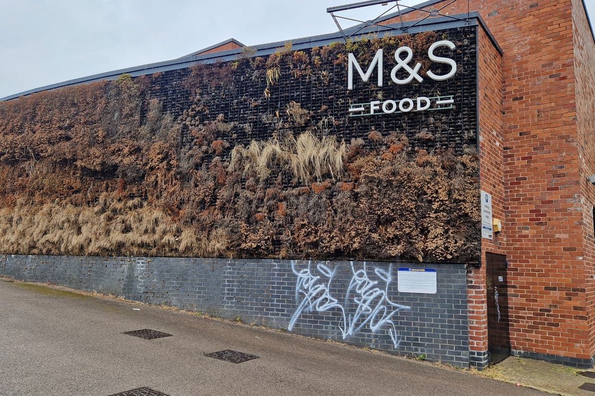 Marks and Spencer: Dead green wall on Ecclesall Road store branded