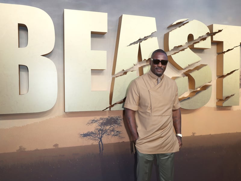 Idris Elba leads the cast in this thriller about a widowed doctor and his teenage daughters who are pursued by a ferocious lion in a dream vacation turned nightmare. It has a 69% fresh rating on Rotten Tomatoes with critics saying “Want to watch Idris Elba fight a lion? The admirably lean yet ultimately disposable Beast is just the movie you're looking for”. 