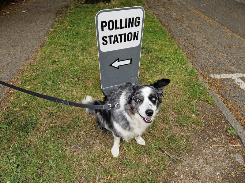 The YEP's rugby league reporter Peter Smith shared this picture after casting his vote, writing: "Not sure who Merlin voted for. But when I asked him how the last 5 years have been, he said 'ruff'."