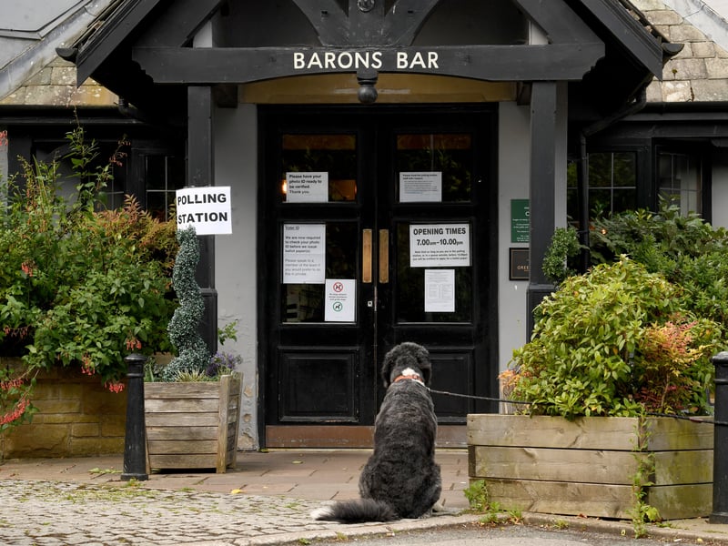 A dog waits outside the Polling Station at the Lord Darcy Public House (Barons Bar) on Harrogate Road in Alwoodley