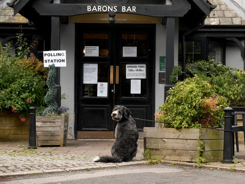 As ever there have been plenty of pictures of dogs outside of polling stations being shared.