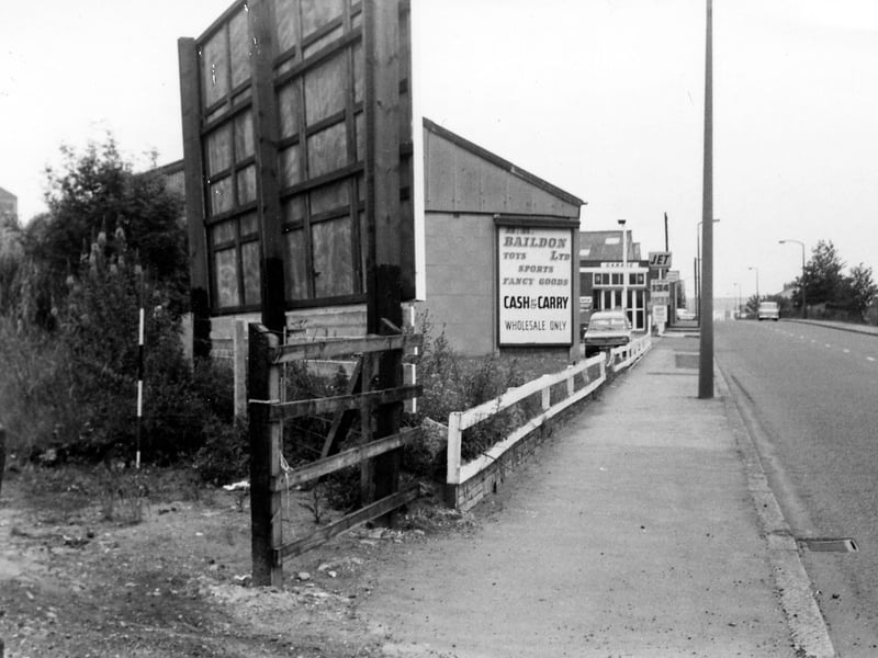 Adjacent to the railway embankment, 199 Whitehall Road Prospect House, premises of H.R. Baildon Ltd, a cash and carry wholesale business dealing in toys and fancy goods. Pictured in June 1980.