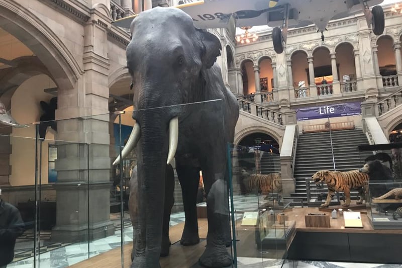8 best things to do and see at Kelvingrove Art Gallery and Museum this ...