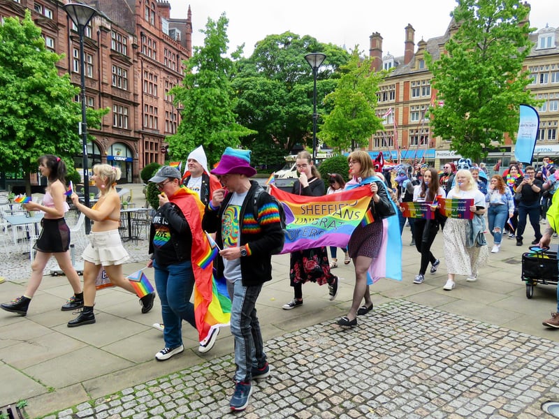 Pinknic Sheffield: 11 photos from LGBTQ+ celebration