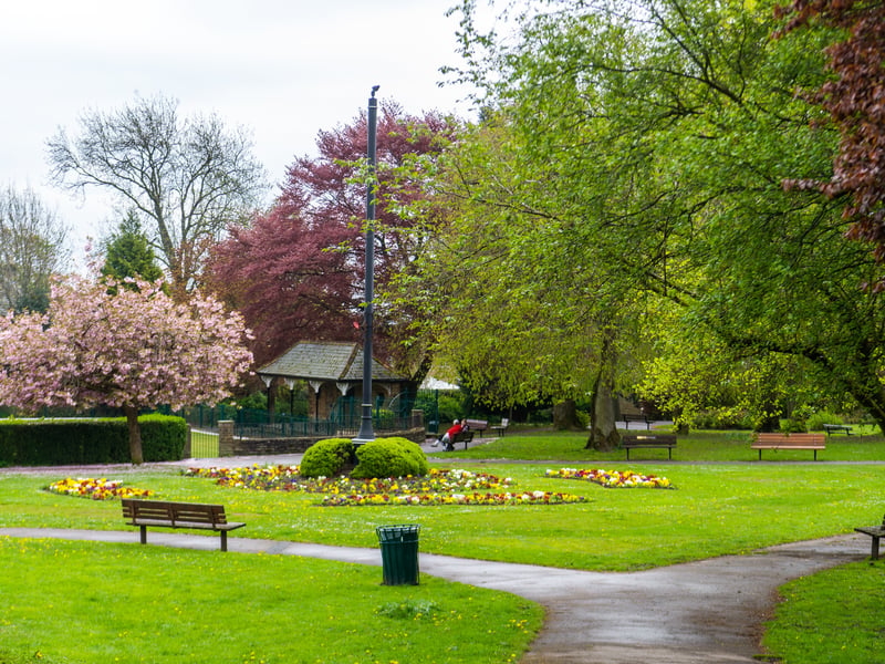 Locals rave about the cherry blossoms here. The trees are positioned perfectly near the playground and the bus station, creating a vibrant burst of colour that welcomes you as soon as you arrive in the park.