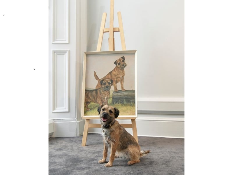 Indie could have been one of the models for this painting of two Border Terriers called Liz and Brownie, painted by British artist Katherine C. Brown (active 1937-1962). It's expected to be sold £800 - £1,200 (Indie not included).