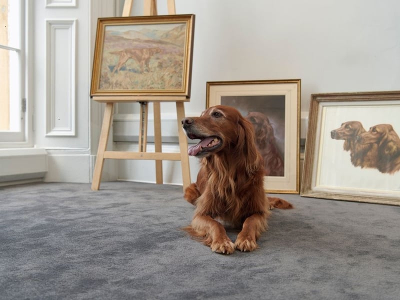 Viewing three of the paintings of Irish Setters - set to be auctioned by Bonhams in Edinburgh.