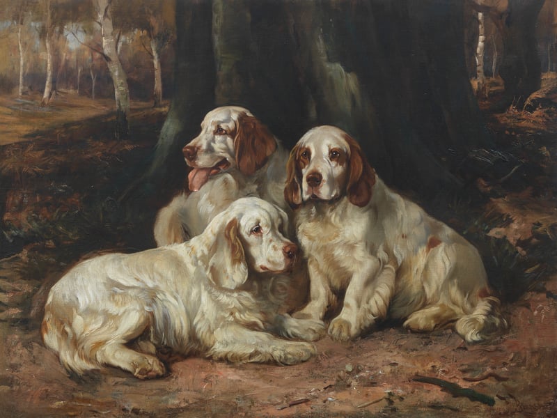 British artist Wright Barker (1863-1941) painted this picture of three Clumber Spaniels in a woodland of silver birch. The unframed painting is expected to 'fetch' £5,000-£7,000.