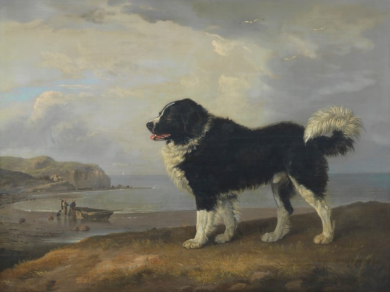 This painting of a Newfoundland on the English coast is the work of British artist Edmund Bristow (1787-1876). Estimate: £10,000-£15,000.