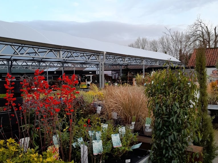 Harrogate Garden Centre was named by YEP Jenny Flackett as one of the best in Leeds. Jenny said: "Fabulous choice of plants, always in season. Great ambiance, lovely staff and lots more."