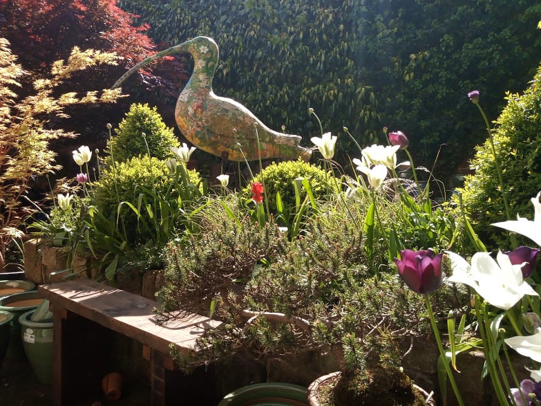 Courtyard Planters, in Otley, was named by YEP reader Jill Brookes as one of the best garden centres in Leeds. Jill said: "Small but friendly, welcoming and knowledgeable. It’s a pretty corner of Otley only a few people venture out to, but it’s worth the effort, and you can even make yourself a cup of tea in a private and restful shelter."
