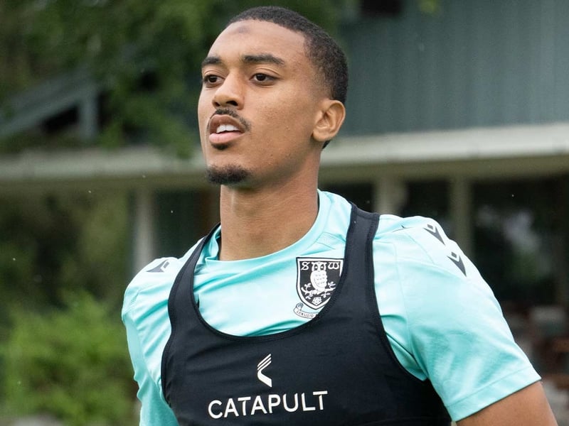 The Owls have had a very busy summer window, bringing in two stars for fees of under £1m as well as seven free transfers. 