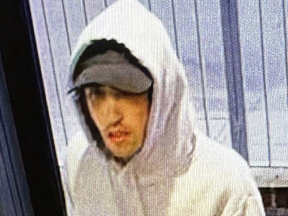 Photo LD8535 refers to a theft from a shop