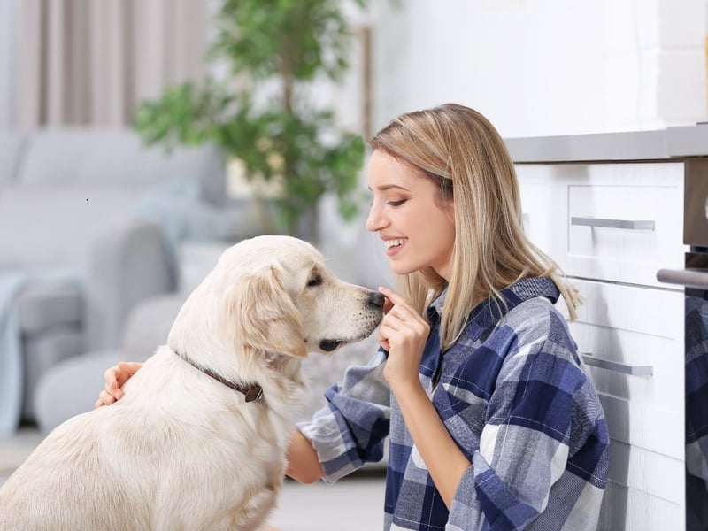 "A gentle hit or touch on a person’s or animal’s nose or head, showing that you like them or as a joke."