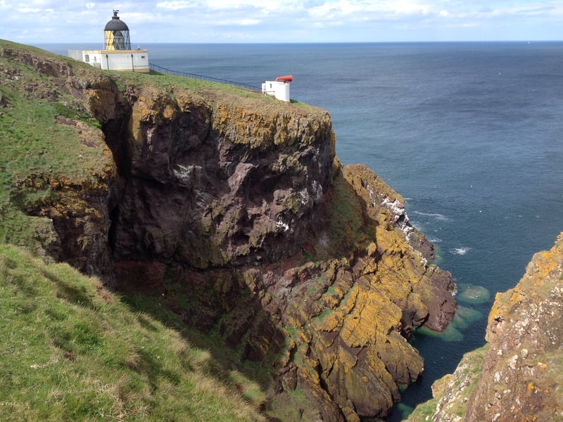 A visit to the ‘seabird city’ at St Abb’s Head in the Scottish Borders should be on the must-do list of any family this summer