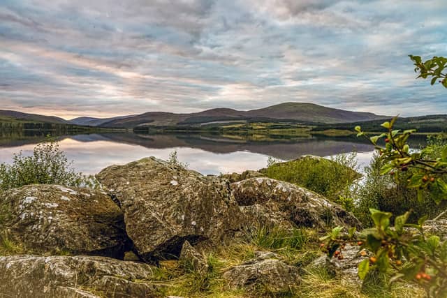 Spotting ospreys at Threave Garden and Nature Reserve in Dumfries & Galloway has made the National Trust for Scotland's list