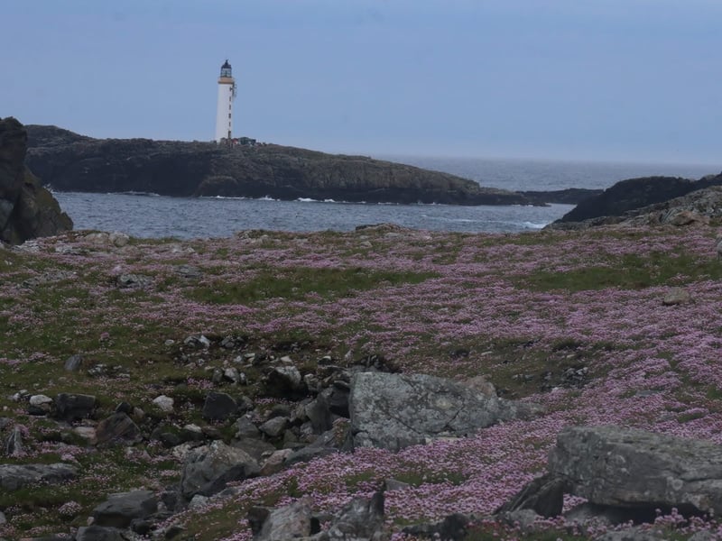 The house is situation near Skerries Lighthouse, which is located on an island to the north of Holyhead