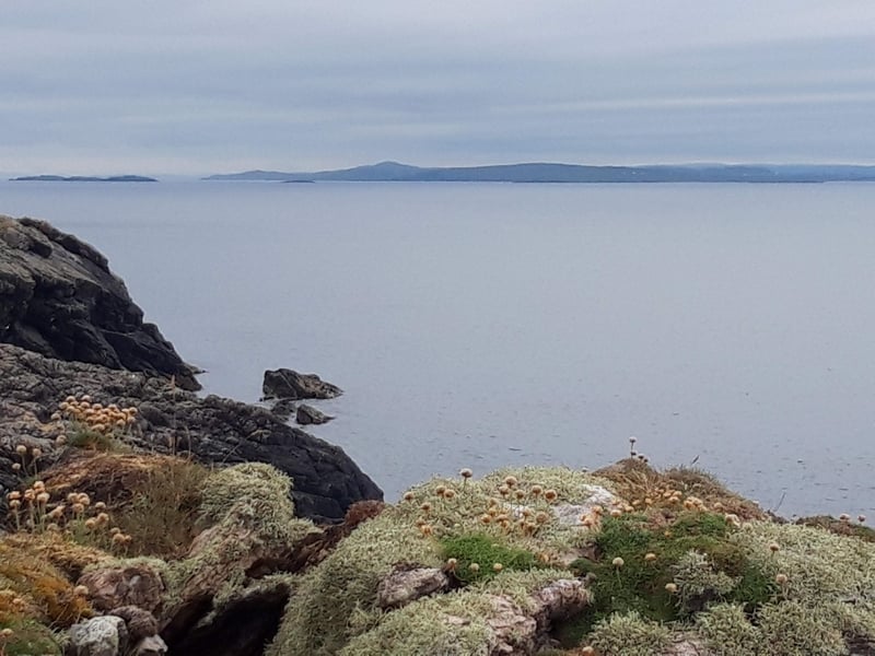 The current owner said the property is an amazing place "far away from all the stress." There is also a range of wildlife including terns, puffins, seals, dolphins and whales.