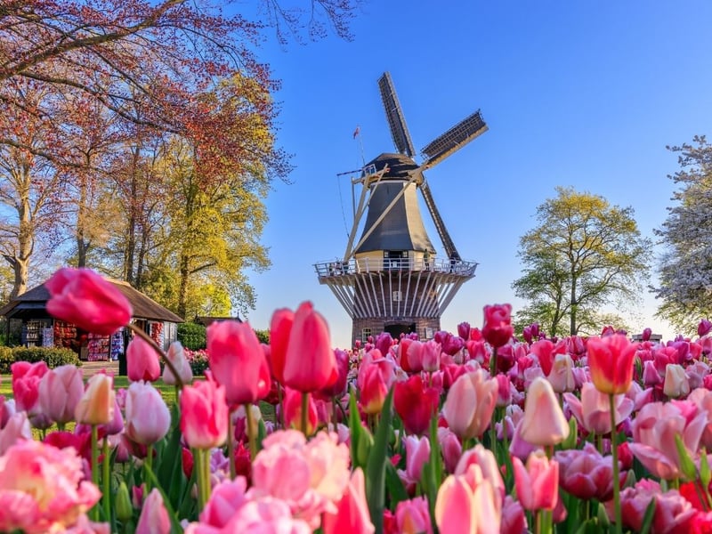 It may surprise some that the Netherlands is Scotland’s top destination for goods - accounting for £6.9 billion in the last year. That's 20 per cent of all exports. Around three-quarters of that is oil, while the figure is likely inflated by the 'Rotterdam Effect' in that some goods arrive in the port city before going elsewhere.