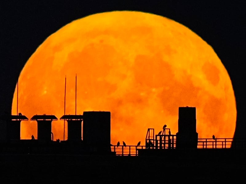 Supermoon rises over a residential building in Moscow, Russia, Monday, Aug. 19, 2024