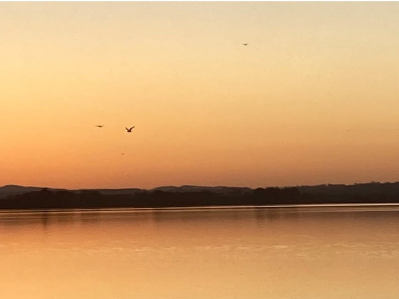 Montrose Basin is both alive with birdlife and still as a pond with sunsets over the hills to the west making this one serene destination.