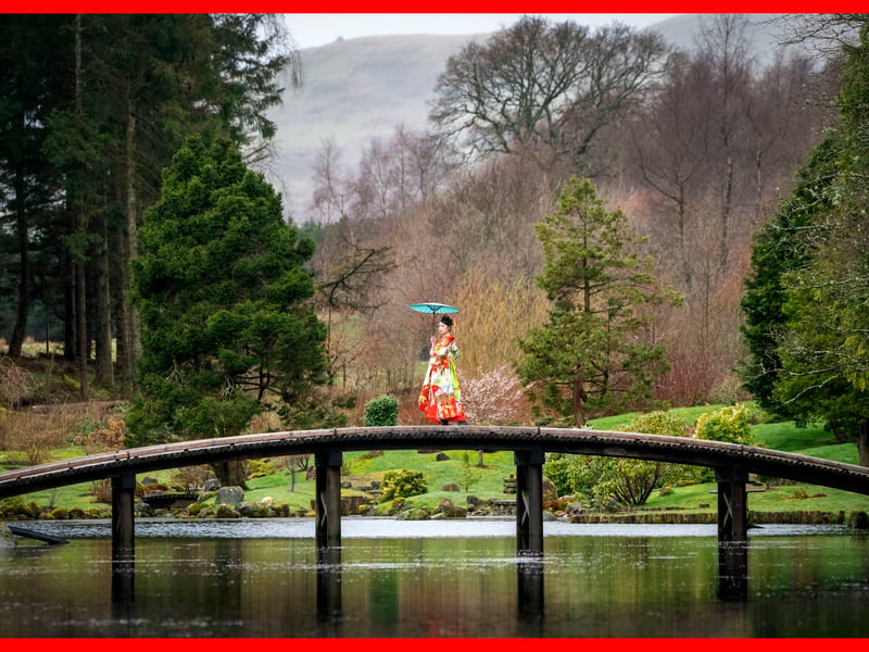 The tucked away Japanese Garden at Cowden is a true box of delights where peace and calm reign.