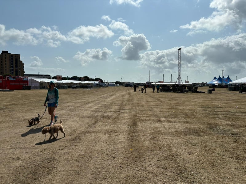 After nearly 80,000 people attended everyday over the three day festival, this morning cut a different scene at the site.