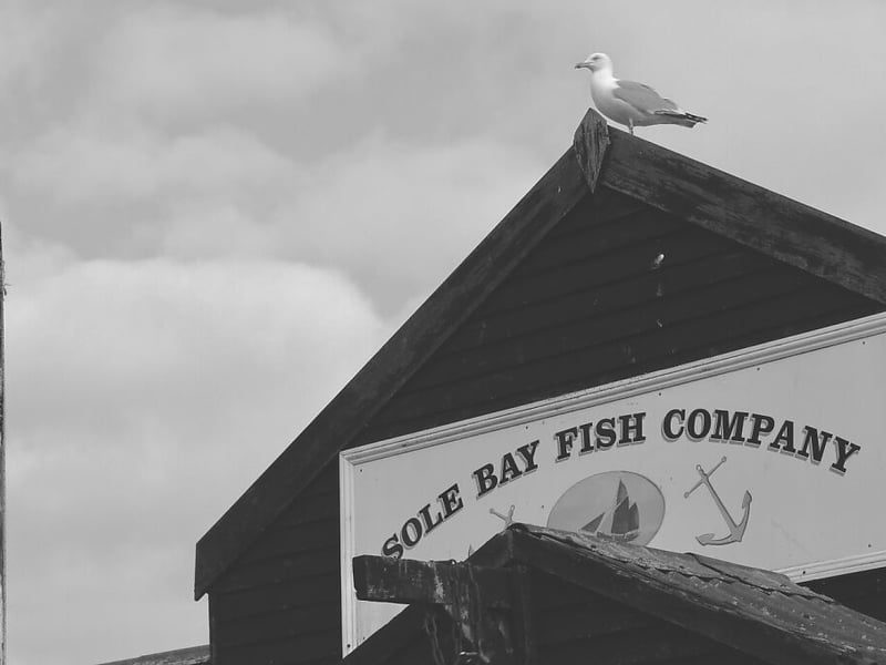 Sole Bay Fish Company is located in Southwold, Suffolk. The Good Food Guide says: “The short drinks list is mostly cold and fish-friendly, and there’s a rotating offer of local Adnams brews, pleasingly available on draught. Seafood platters, heavy with prawns, cockles and whelks, are anchored deliciously by the main attraction of half a garlicky butter-slicked lobster, a dressed crab or sultry smoked fish.”