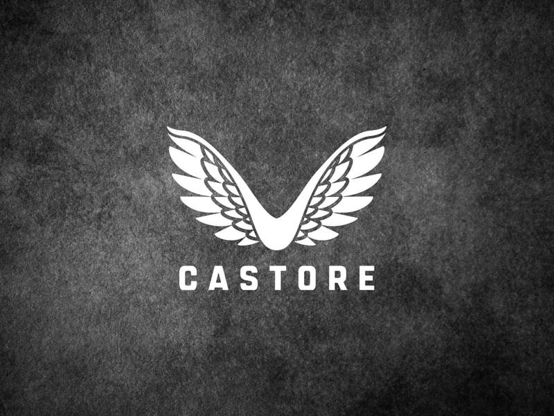 A fundraising late last year valued fast-growing sportswear brand Castore at nearly £1bn. The Beahon brothers founded the Manchester-based label less than 10 years ago but are already making kit for the England cricket team, Harlequins rugby club and Newcastle United. The brothers doubled turnover to £115m in 2022-23 and still own 35.2% of the business.