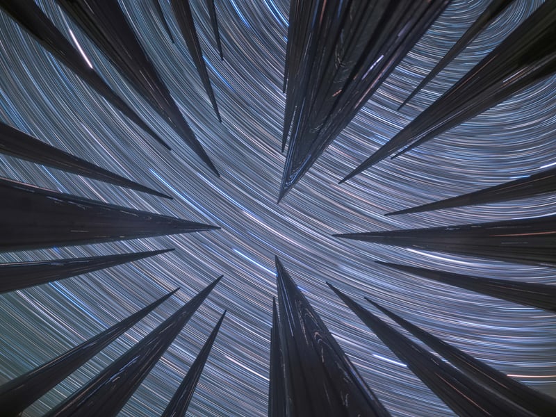 Symphony of the Night Sky by Fei Xue China