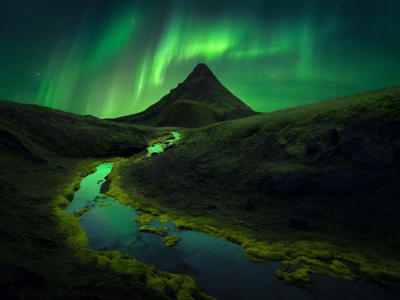The Green Kingdom by Filip Hrebenda Slovakia